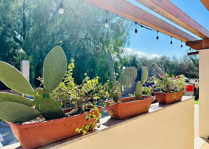 La Tana Del Gattopardo